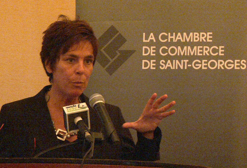 L'Agence de l'efficacité énergétique s'intéresse grandement à la biomasse