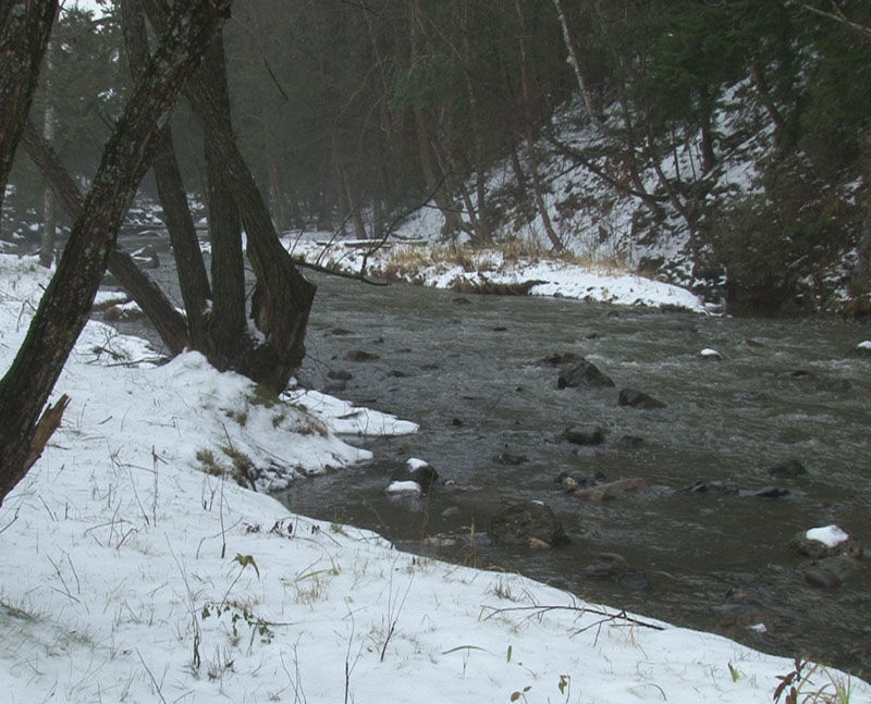 COBARIC revitalise le ruisseau d'Ardoise à Saint-Georges