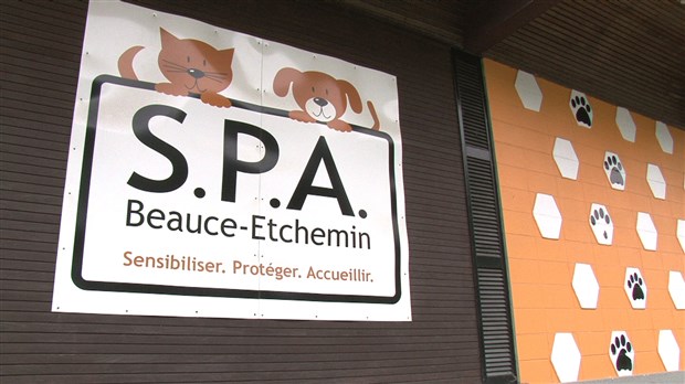 Le samedi 29 mars prochain, la S.P.A. Beauce-Etcheminse tiendra un « Party Zumba ».