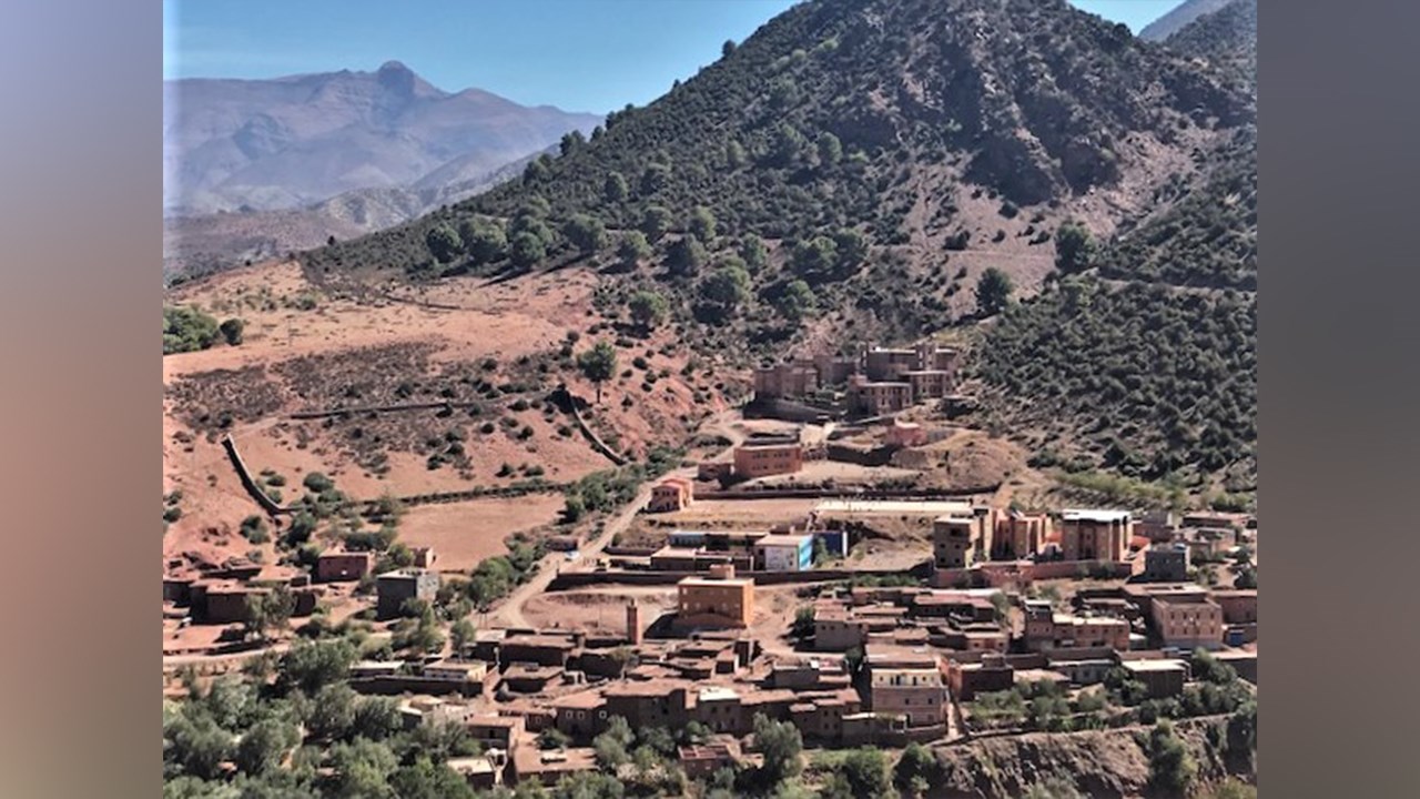 Les Roses de la Beauce au coeur du désert du Maroc