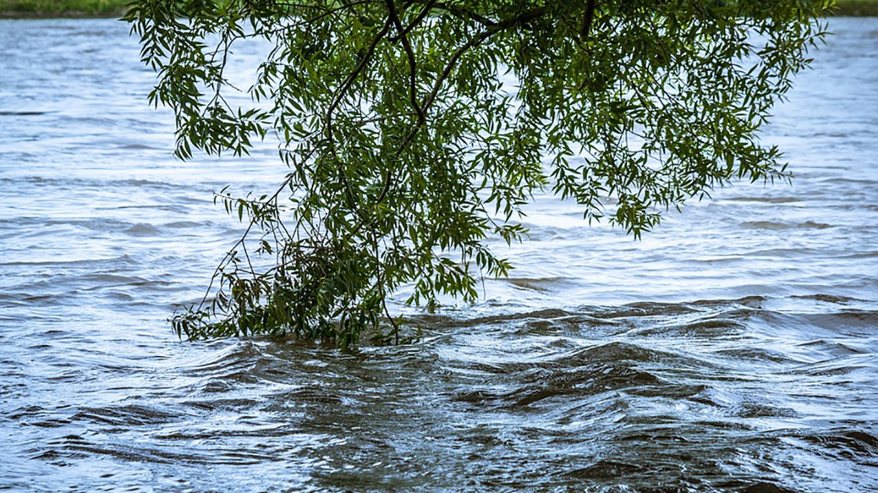La FQM émet 21 recommandations afin d’améliorer la gestion des inondations