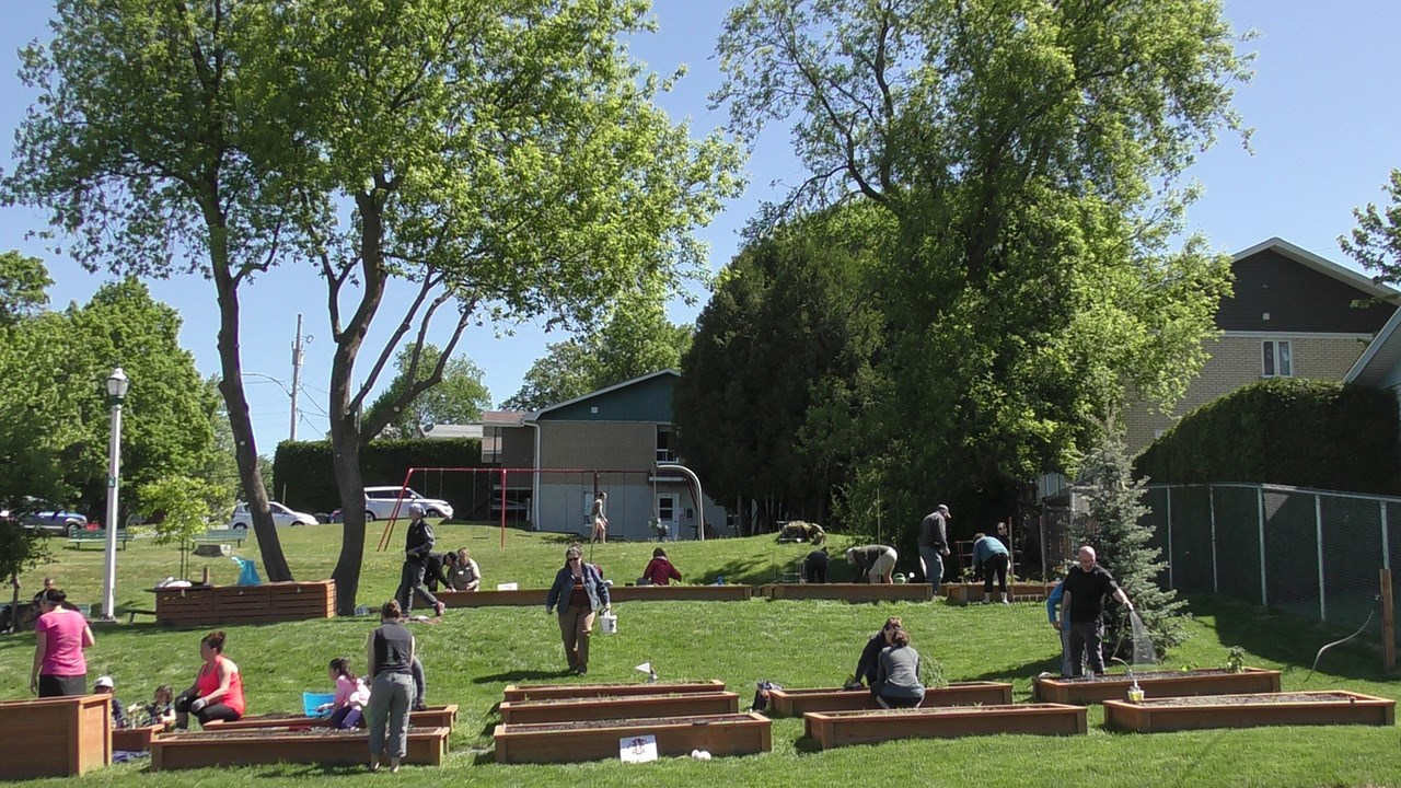 Normand DeLessard présente les Jardins communautaires de Saint-Georges