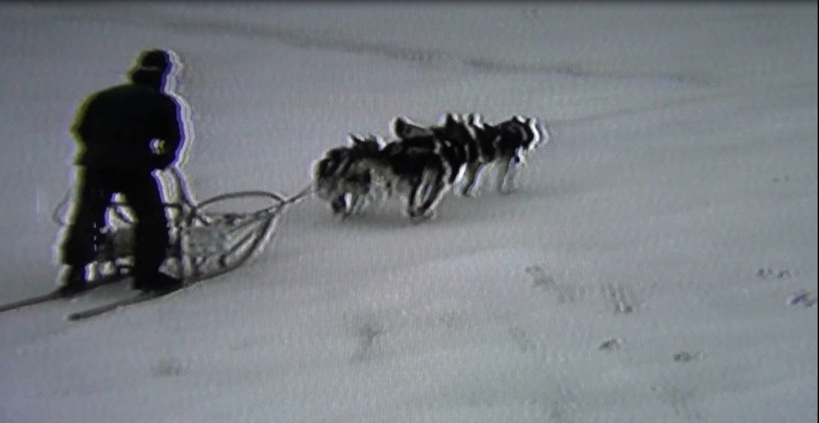 Normand DeLessard présente des courses de chiens à Notre-Dame-des-Pins en 1987