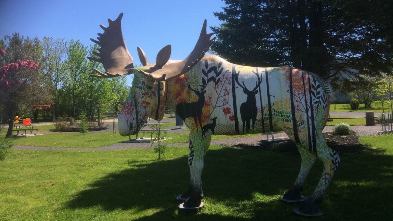 Normand DeLessard présente le parc du Petit-Bocage de Saint-Louis de Gonzague