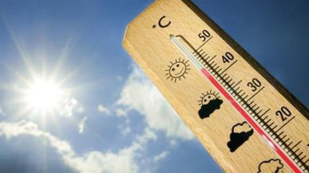 Prévenez les coups de chaleur au travail !