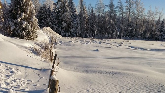 Un hiver trop hâtif pour 60% des répondants