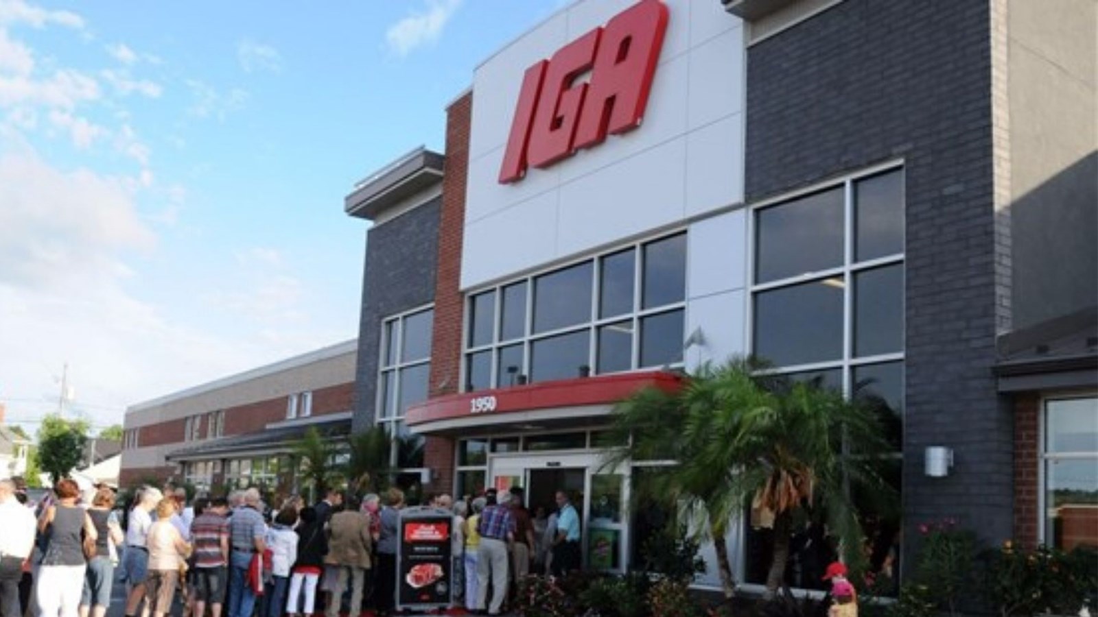 Tous les IGA du Québec n'offriront plus de sacs de plastique.