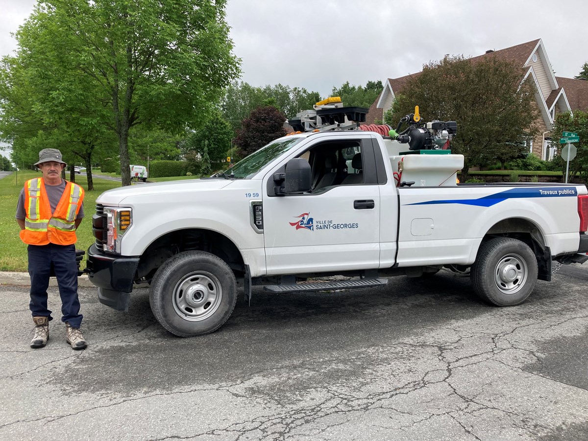 Un employé municipal à la chasse aux frênes