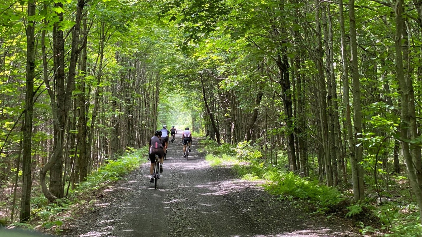 Une toute nouvelle course pour les cyclistes: La Voie Gravelée