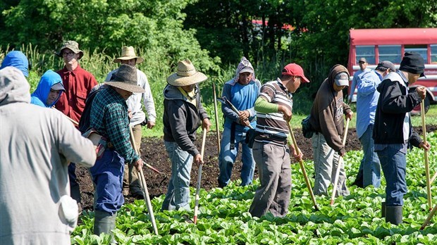 Des résultats positifs liés aux actions d’immigration et d’intégration