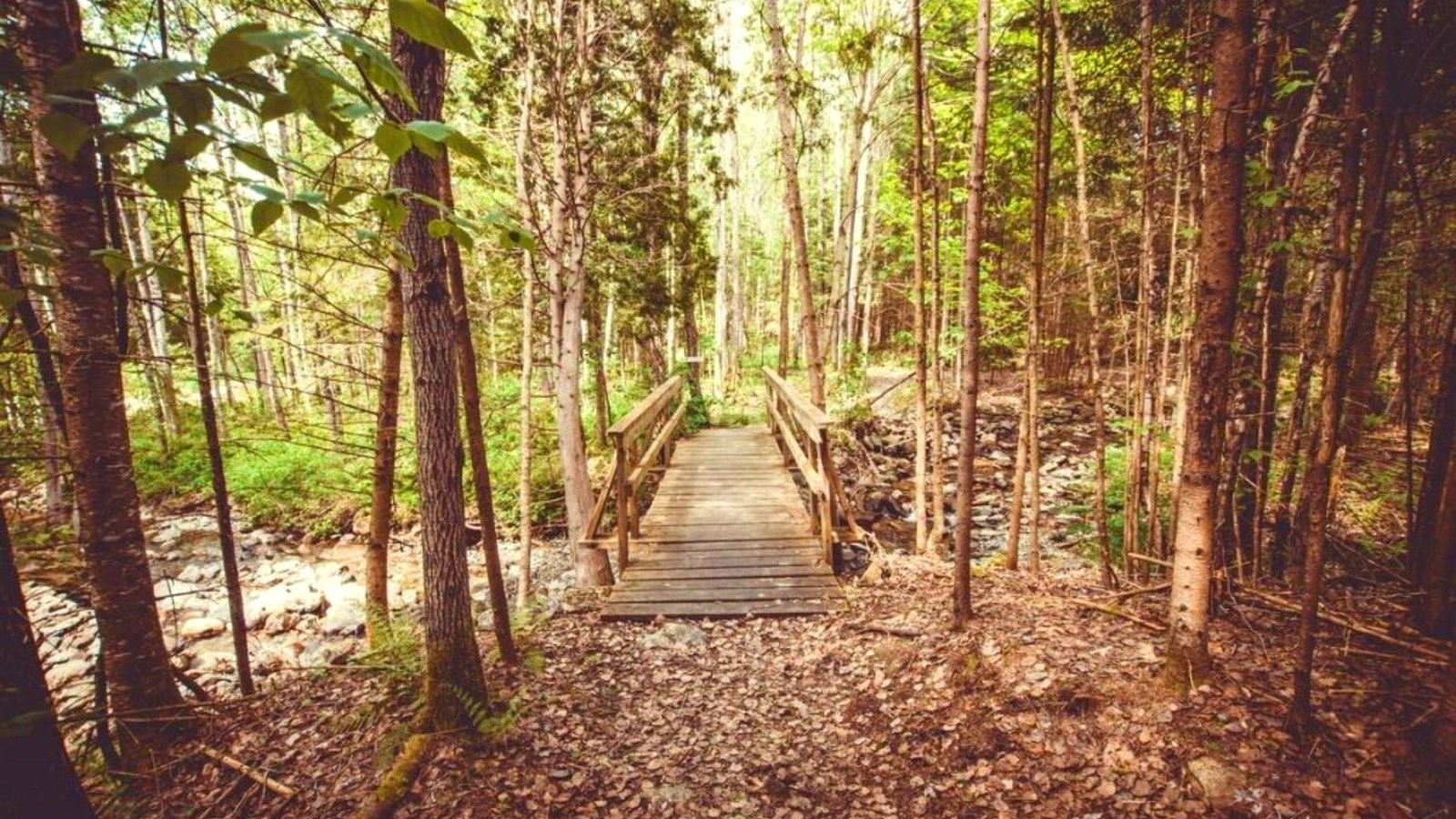 « Ça marche Doc! » sera au Sentier de la rivière Osgood le 16 octobre