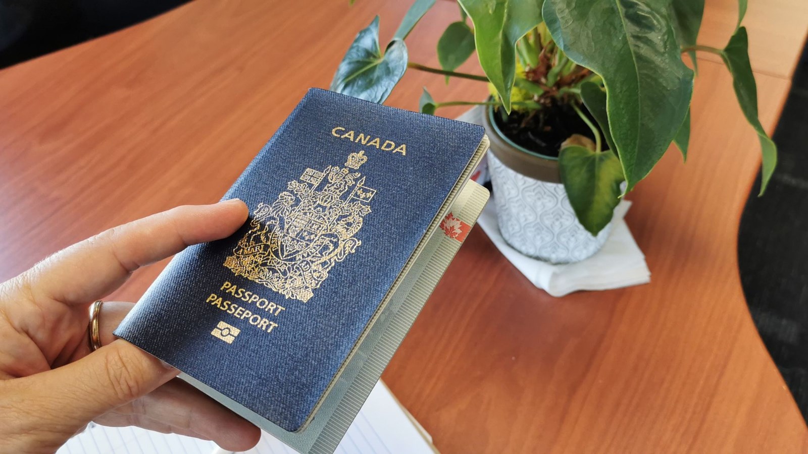 Crise des passeports : une situation qui aurait pu être anticipée, selon le député de Beauce