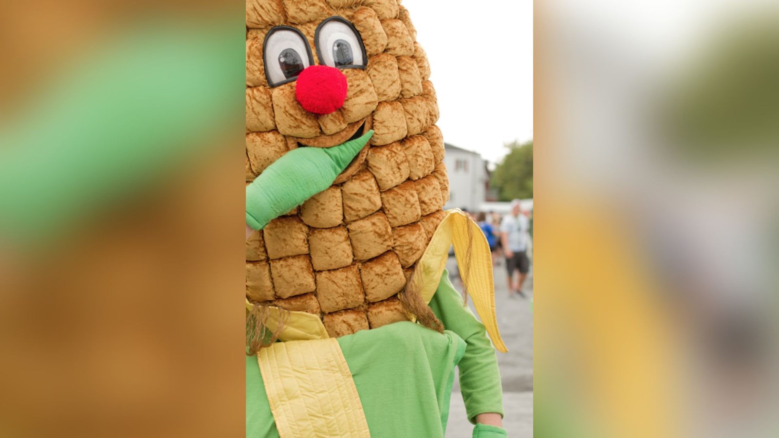 Dernière journée pour participer au Festival de l'épi à Scott