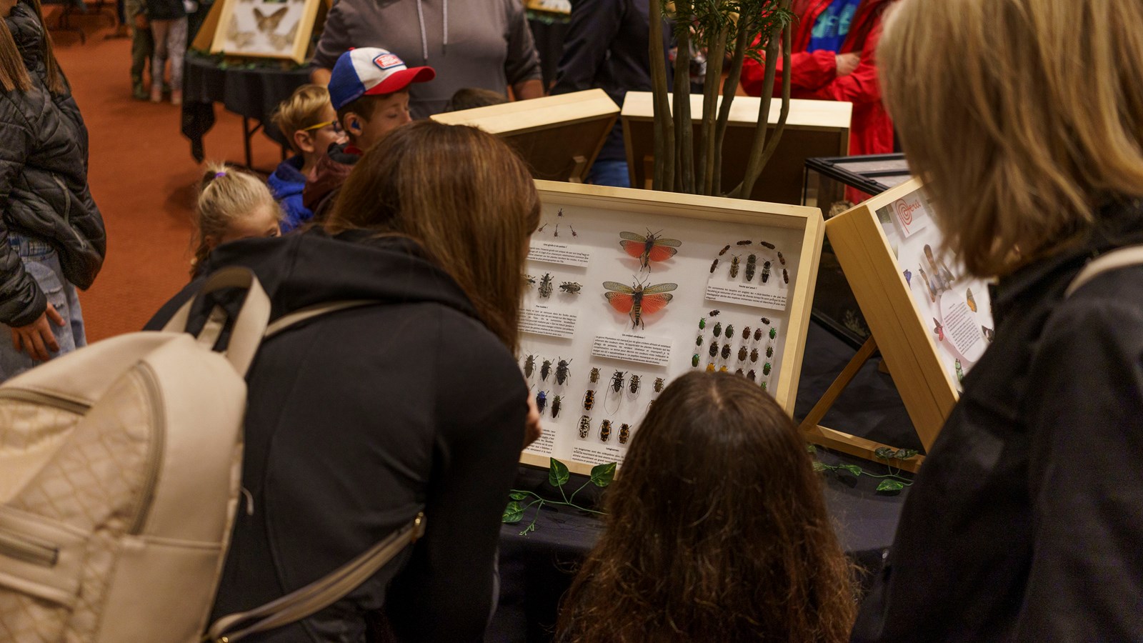 Une expérience captivante au Festival des insectes