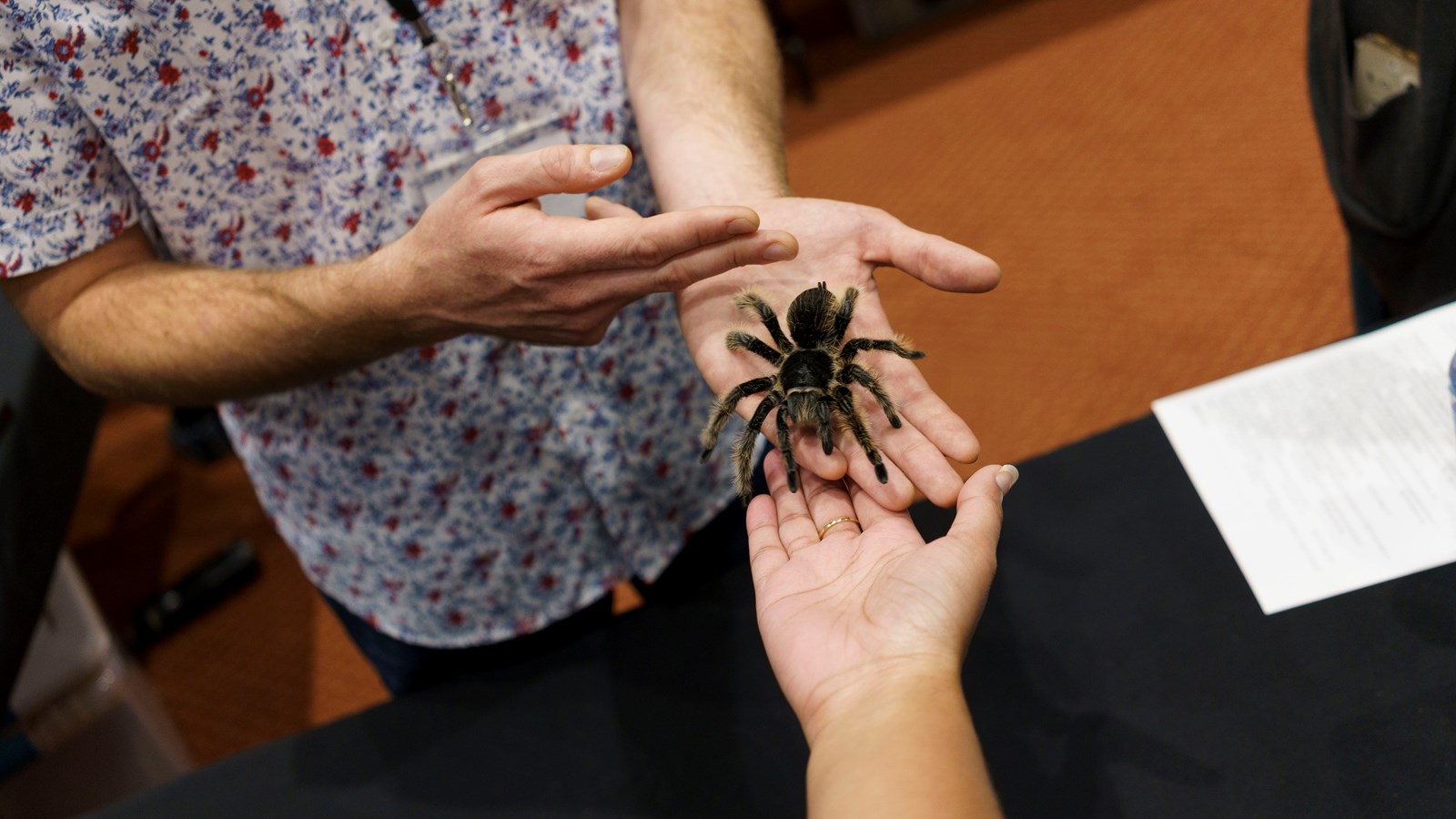 Une expérience captivante au Festival des insectes