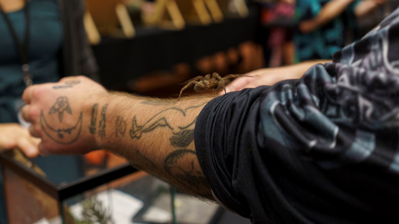 Une expérience captivante au Festival des insectes