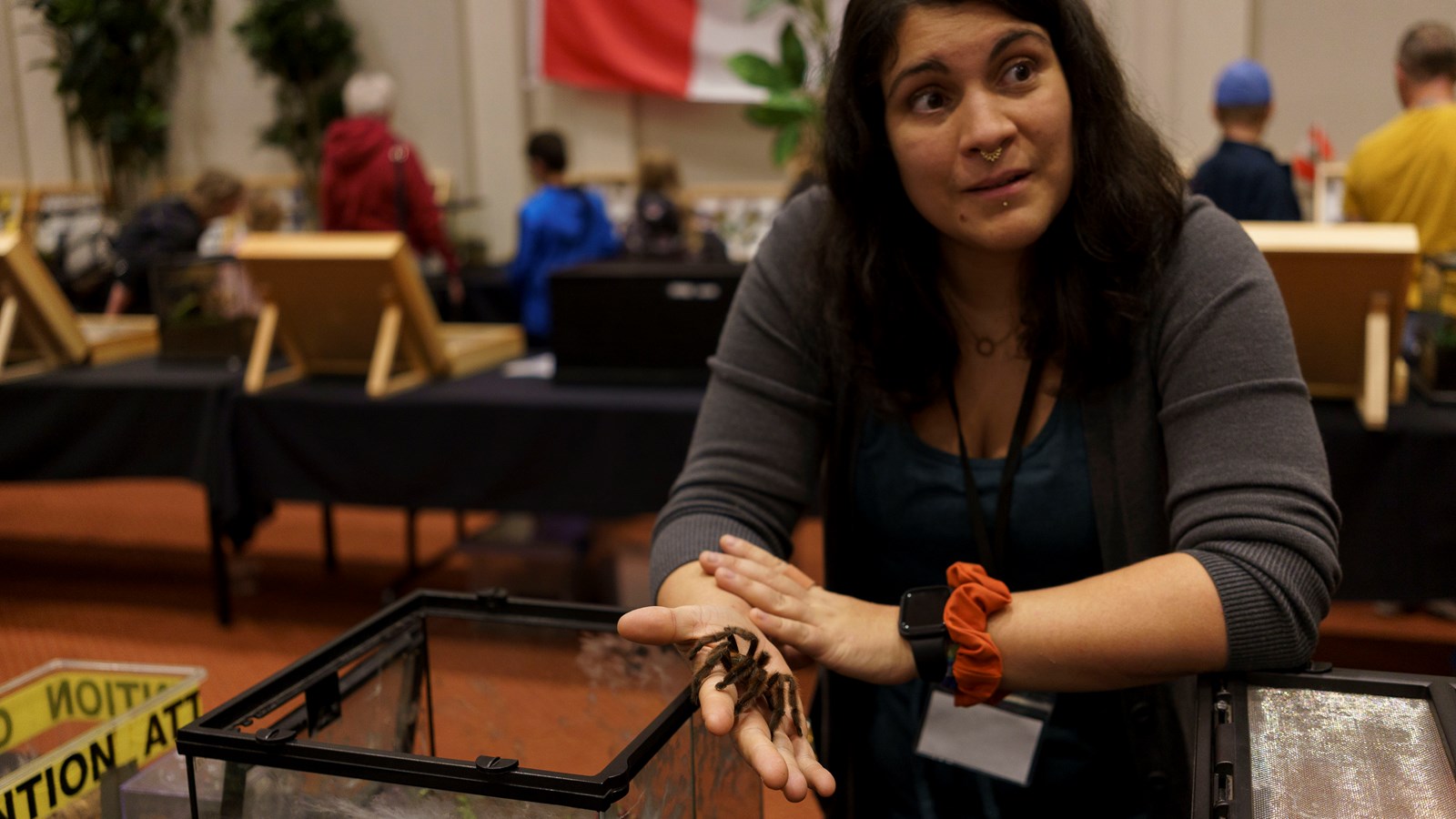 Une expérience captivante au Festival des insectes