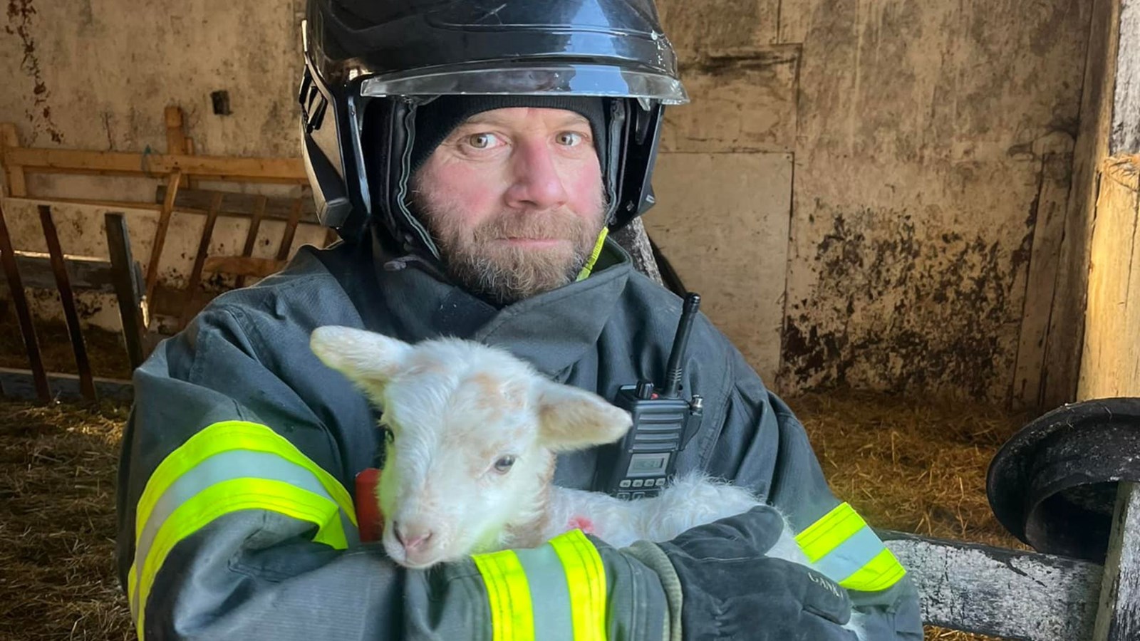 Saint-Jules: les pompiers sauvent une bergerie