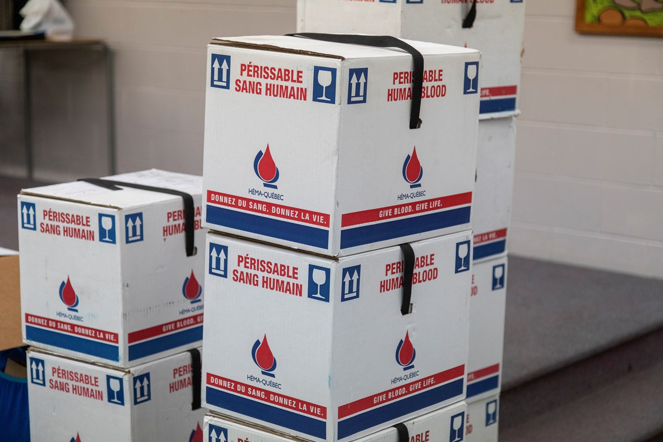 Les collectes de sang à venir dans la région