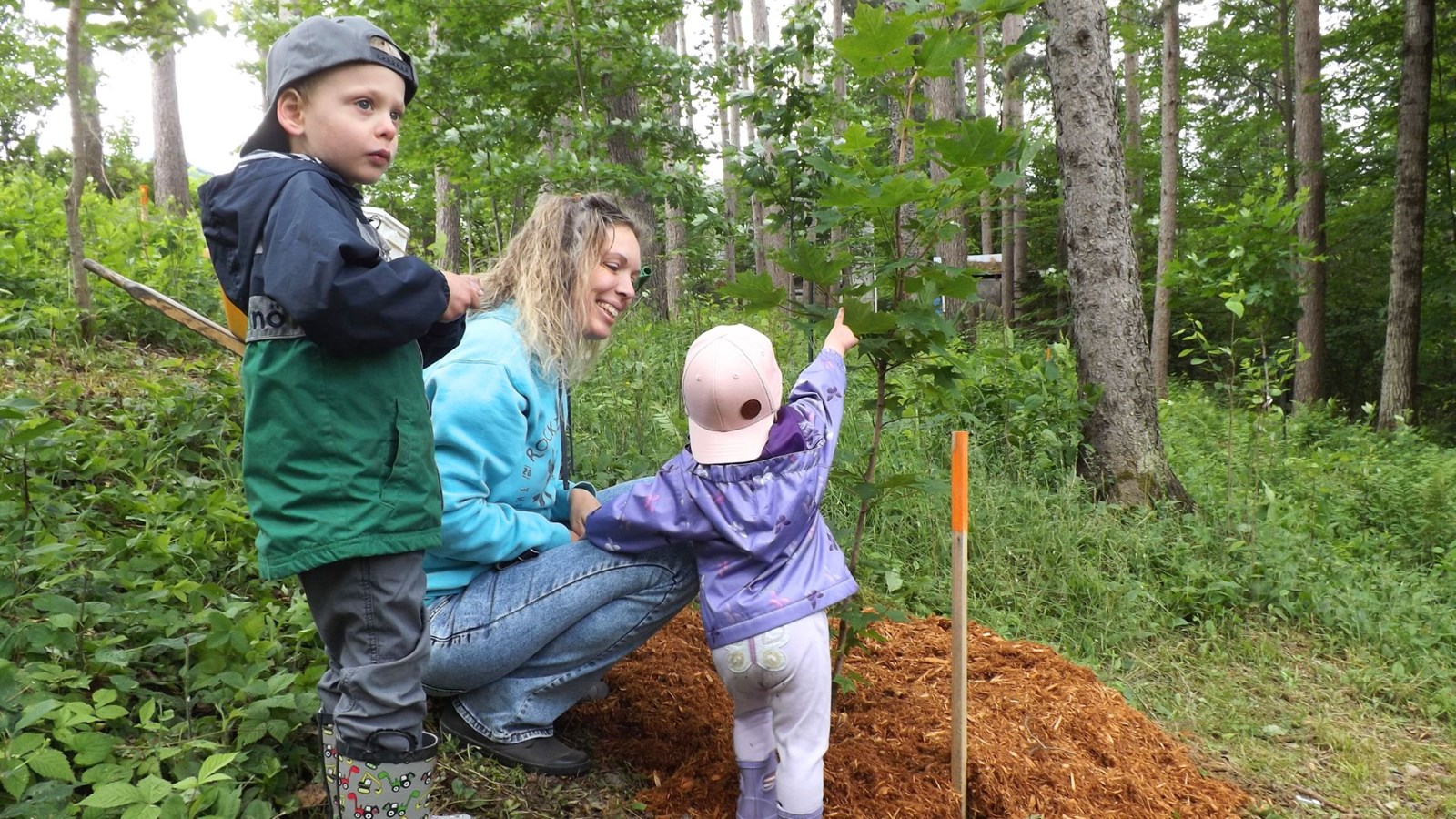 De nouveaux «arbres-mémoires» au Boisé des Anges