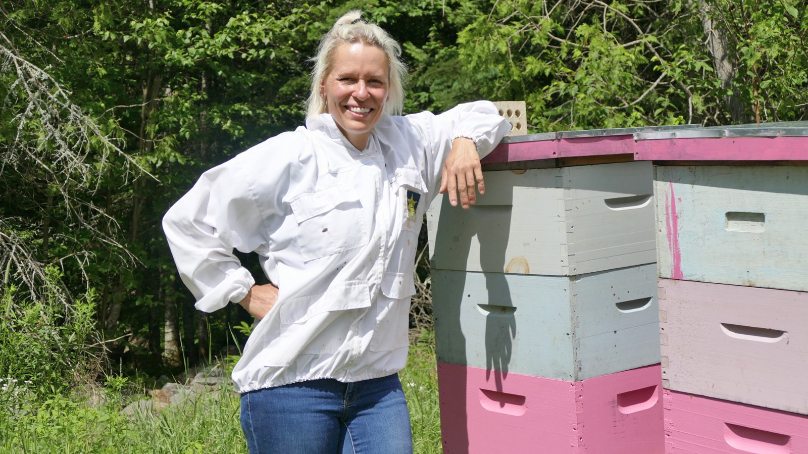 Apiculture : un métier entre passion et défis permanents