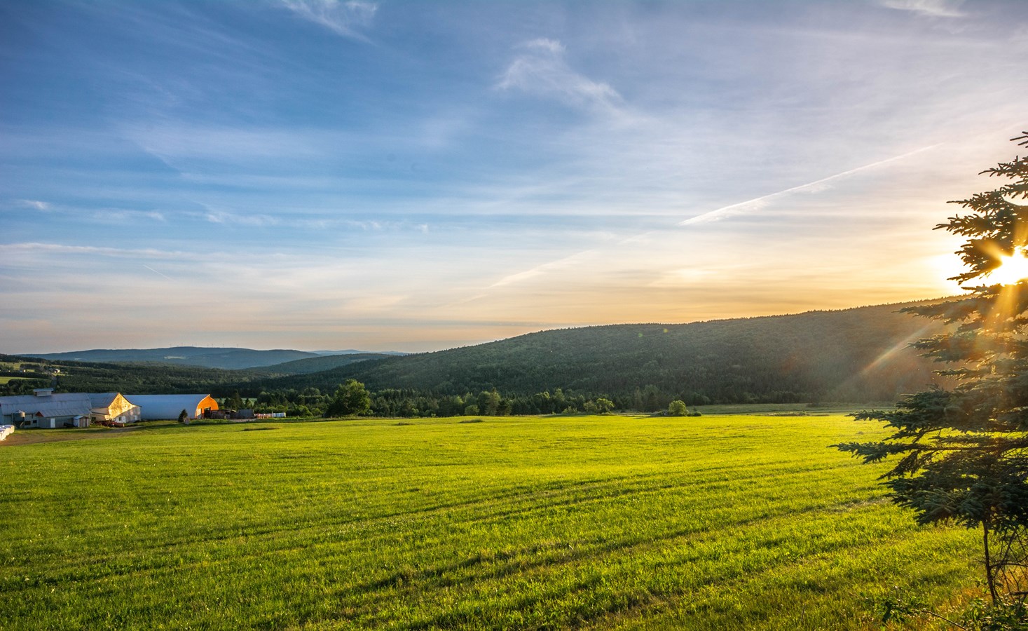 La MRC des Etchemins lance la révision de son plan de développement de la zone agricole