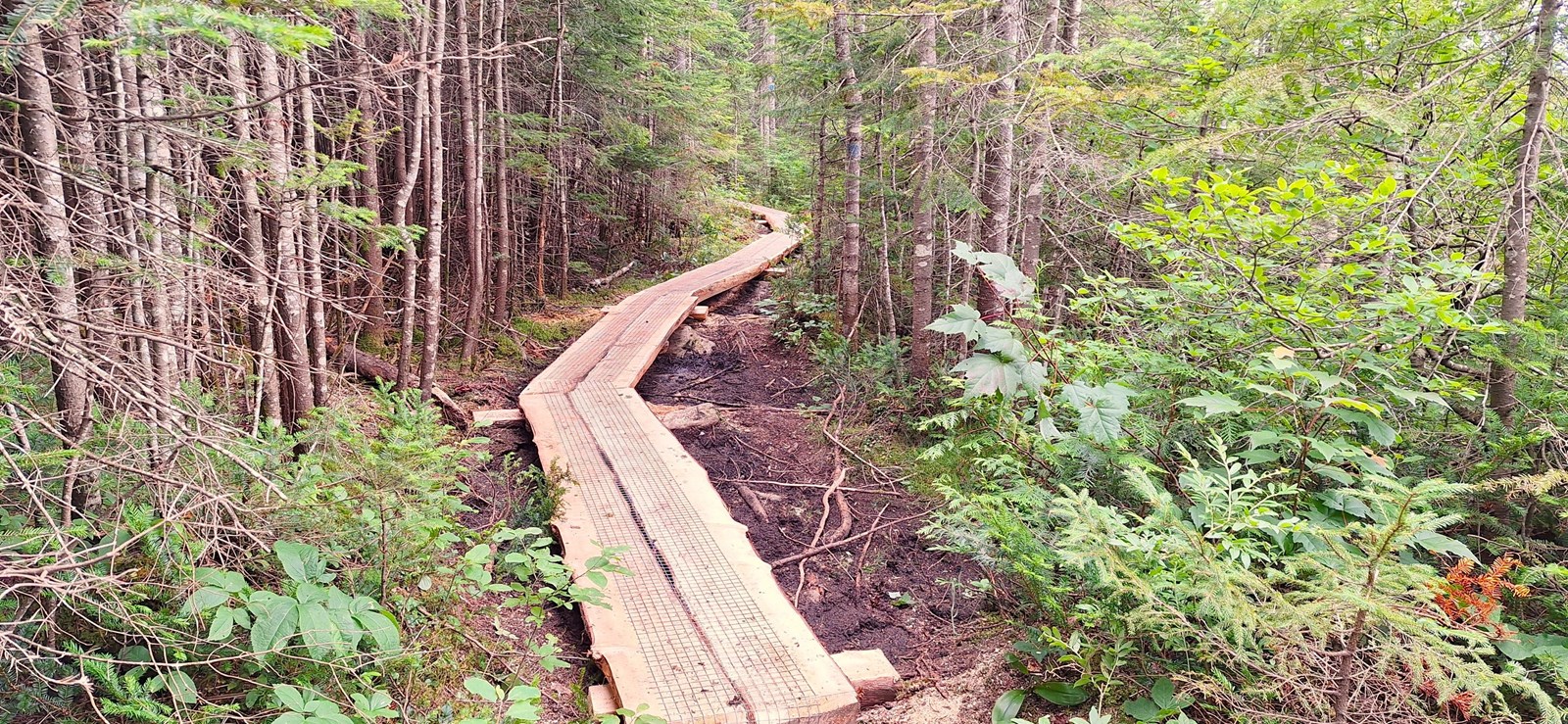 Inauguration des travaux de réfection du sentier pédestre du Lac Caribou