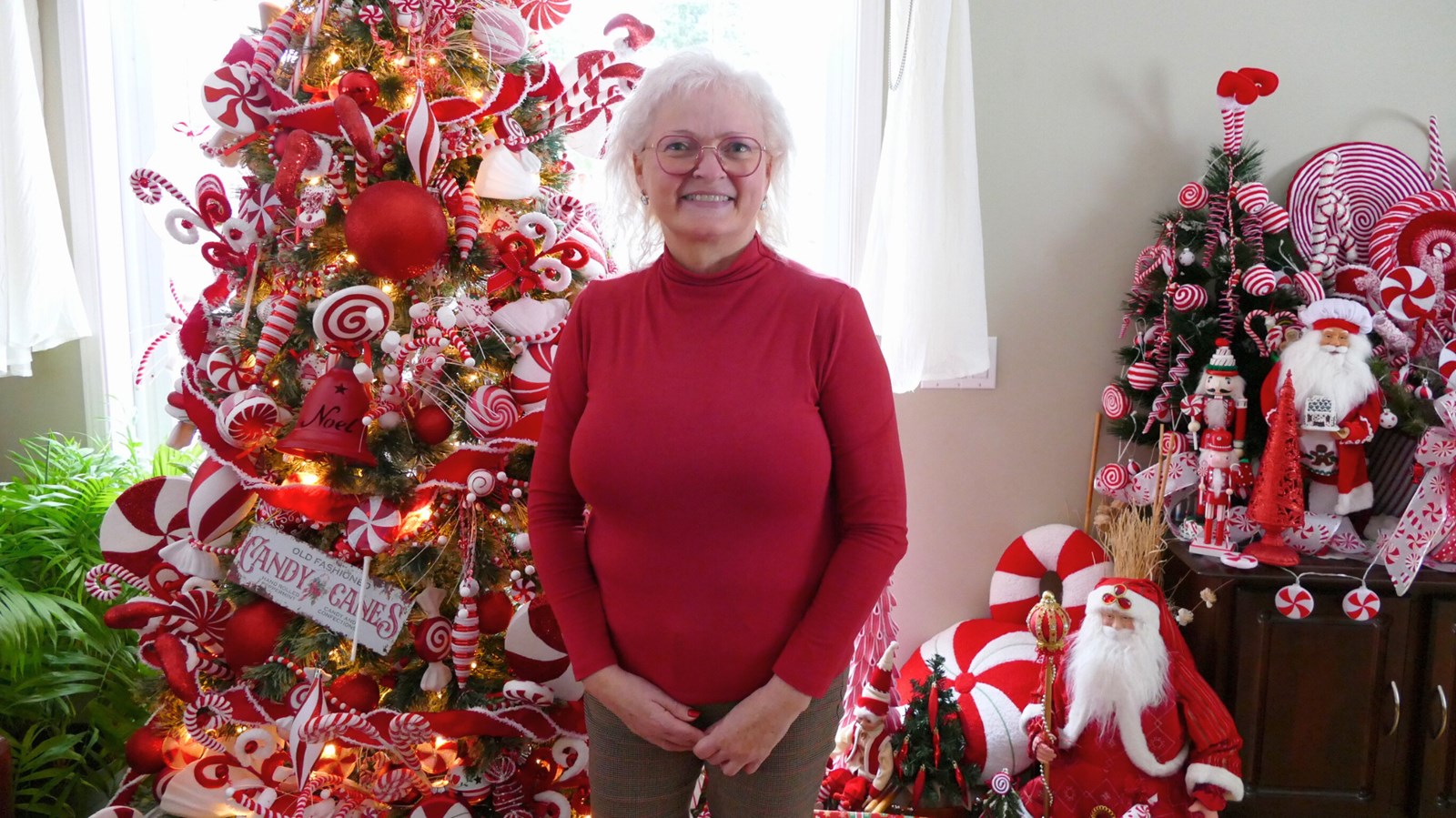 Décorations de Noël : la passion spectaculaire de Chantal Ducket à Saint-Georges