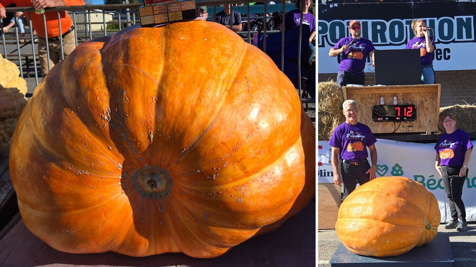 La plus belle des citrouilles géantes vient de la Beauce!