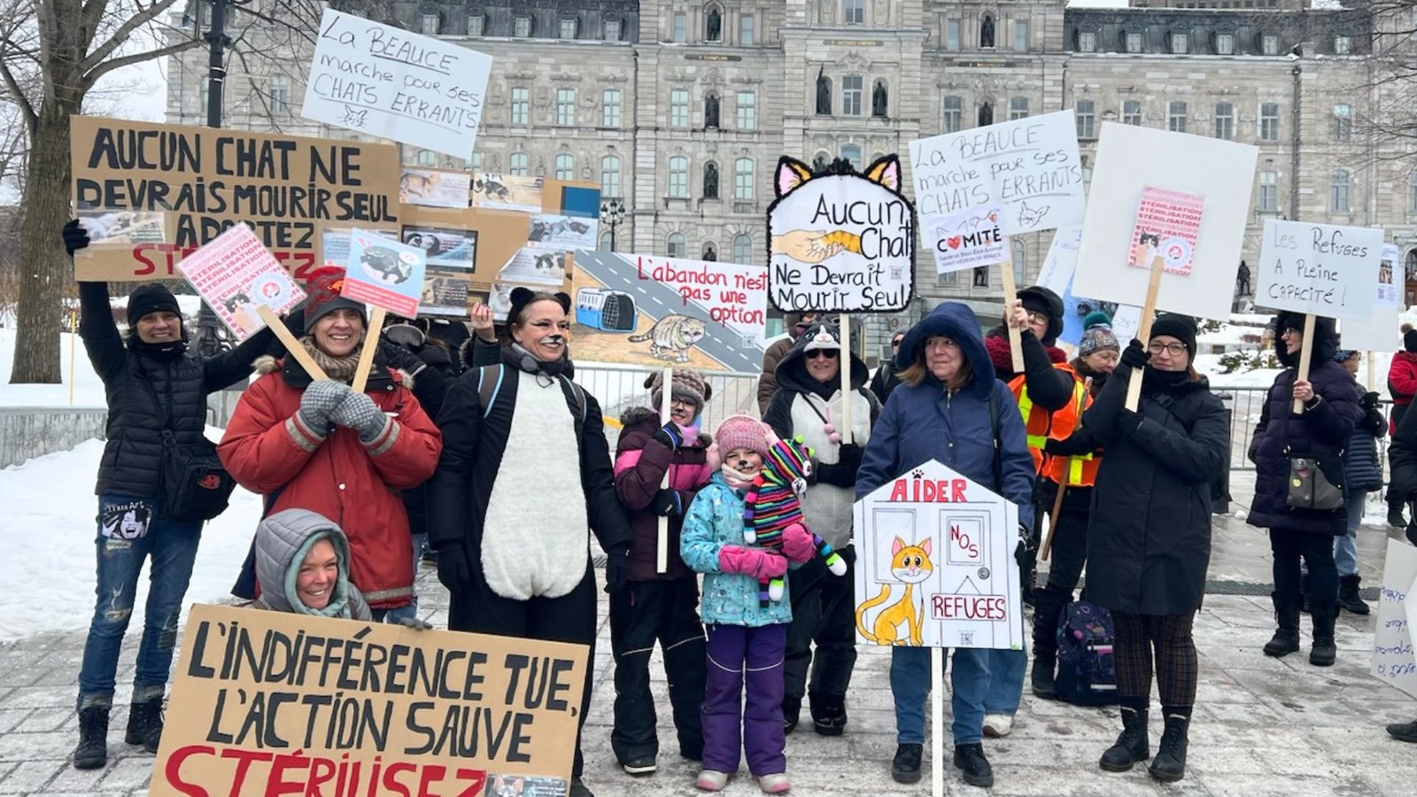 La Beauce présente à la marche pour les chats errants