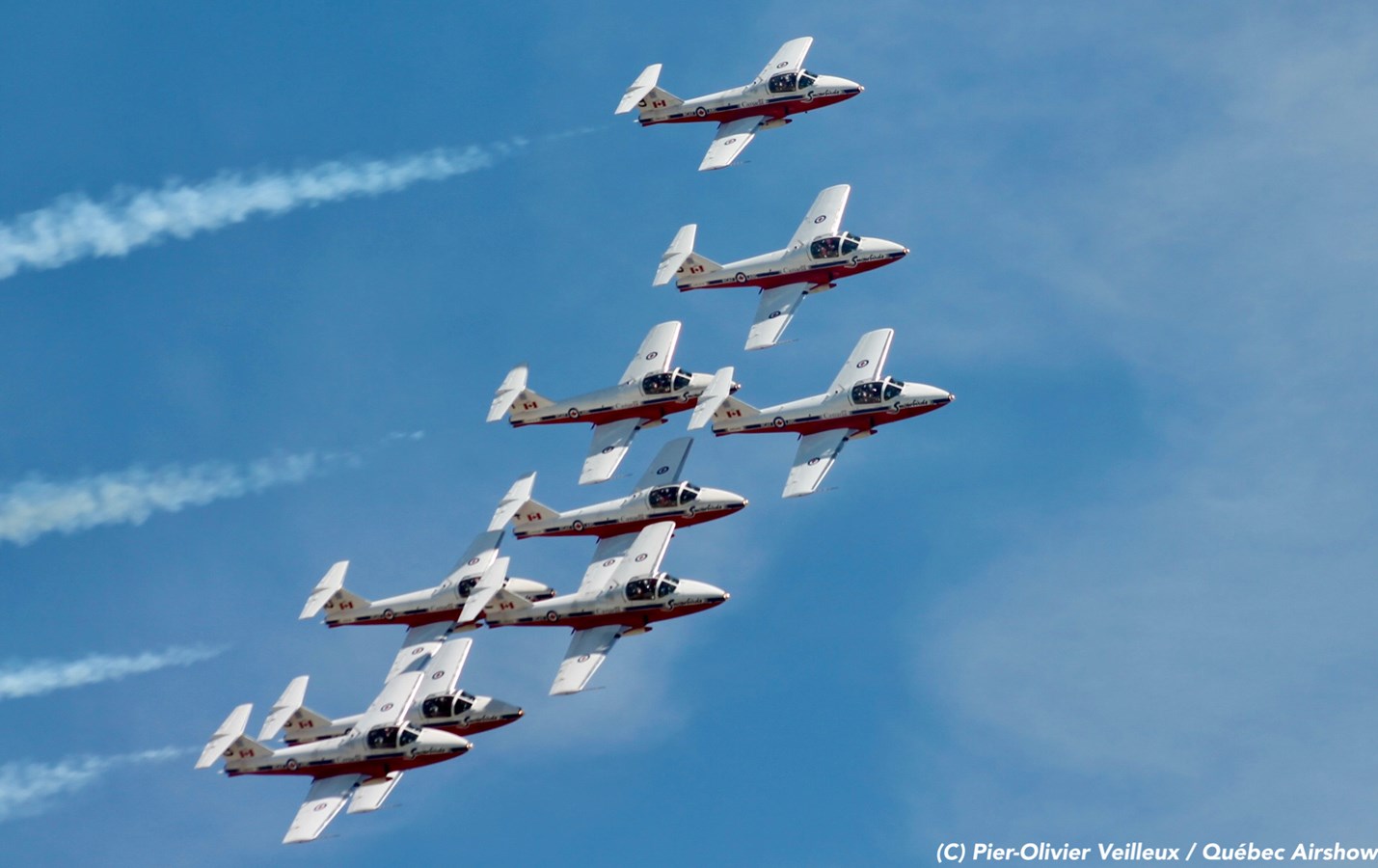 Les Snowbirds