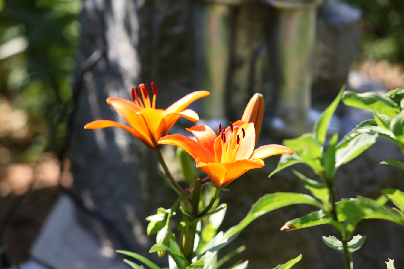 Escale aux Jardins de la petite école de Céline Montmigny