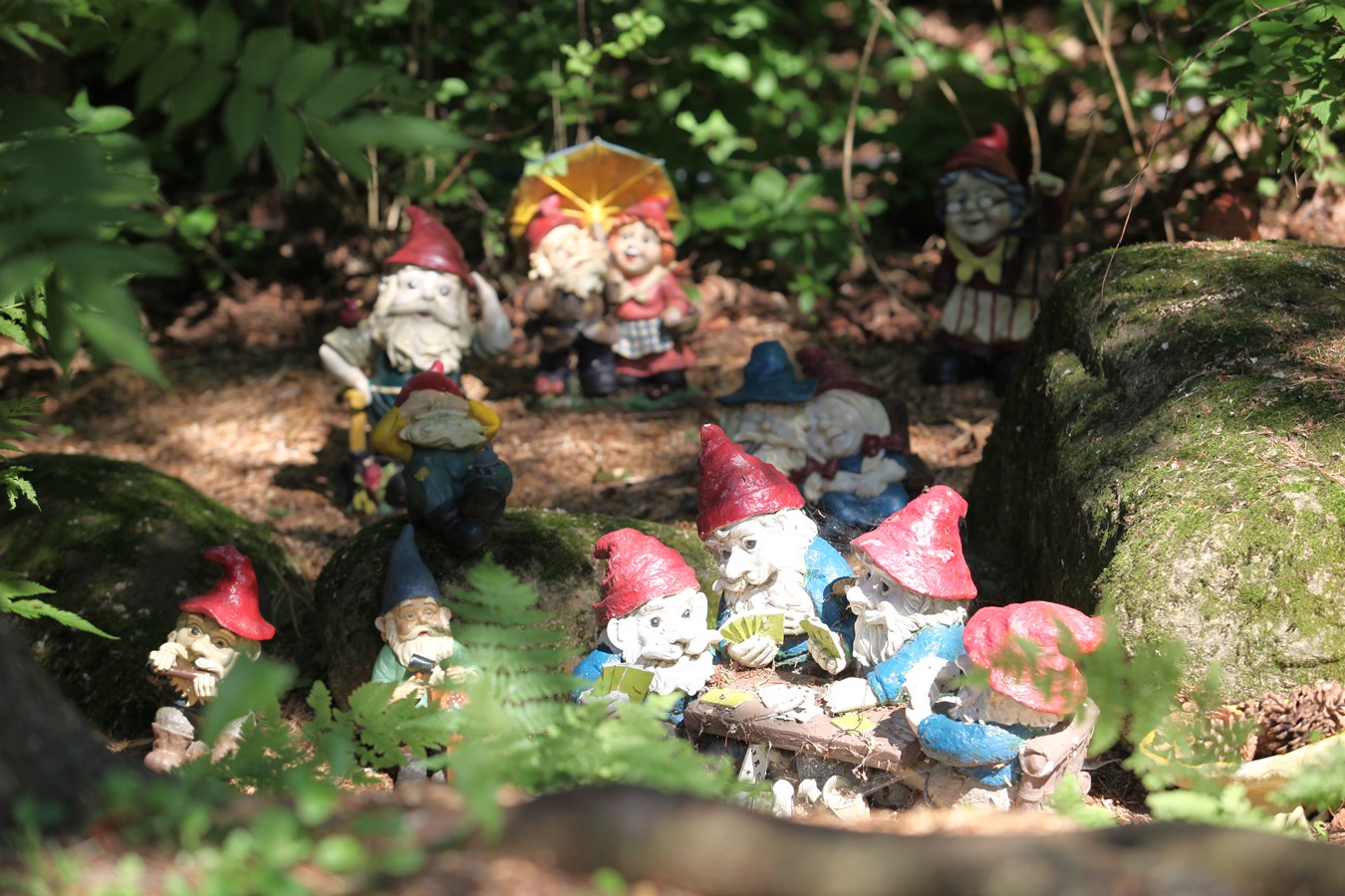 Escale aux Jardins de la petite école de Céline Montmigny