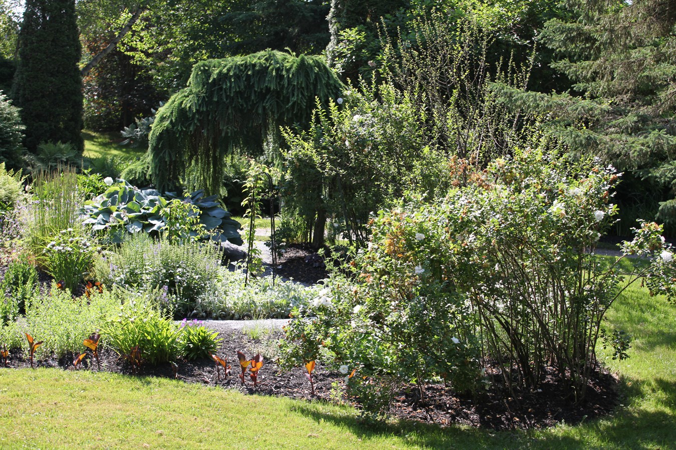 Escale aux Jardins de la petite école de Céline Montmigny