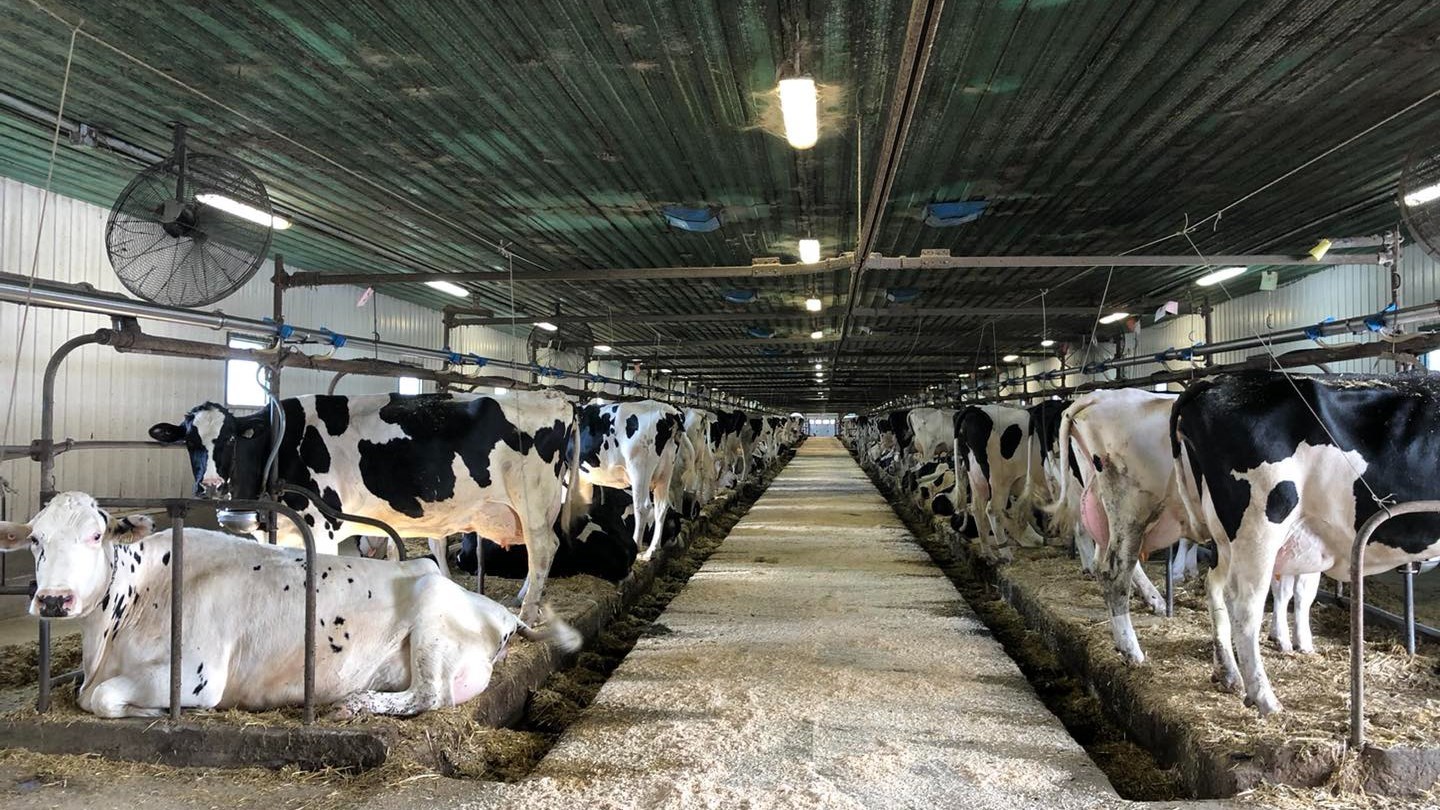 L’agriculture régionale ne doit pas céder sa place aux projets énergétiques 