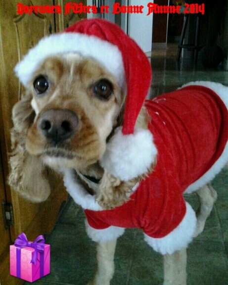 joyeuse fêtes
