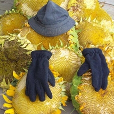 fin d`été