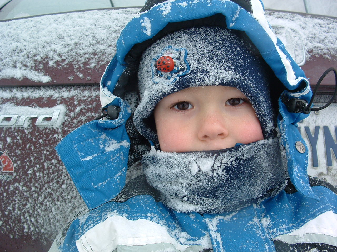 C'est l'hiver!