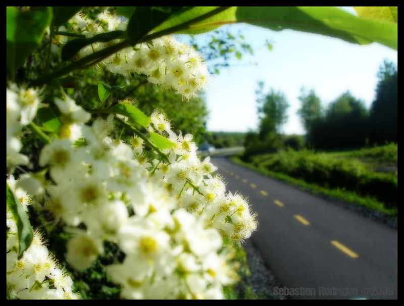 Piste cyclable La Guadeloupe