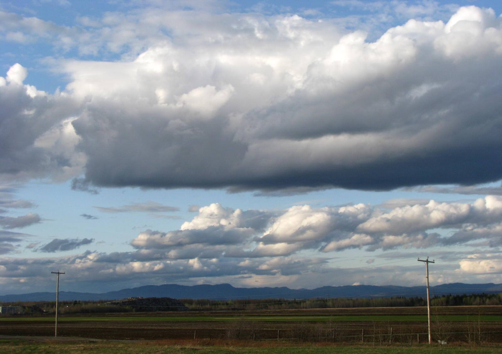 paysage  