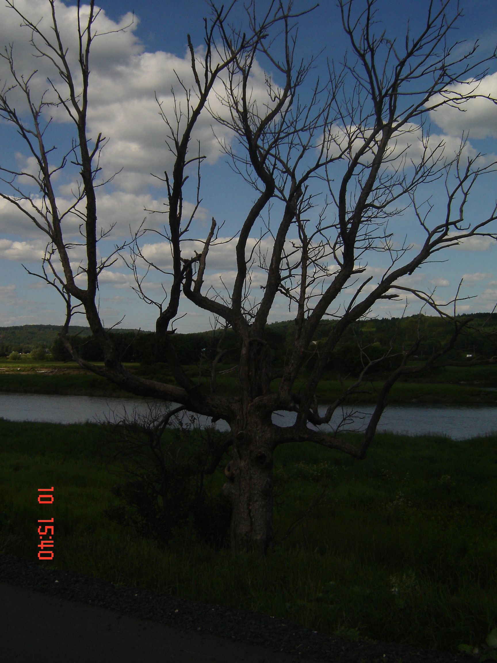 Ma plus belle photo:)