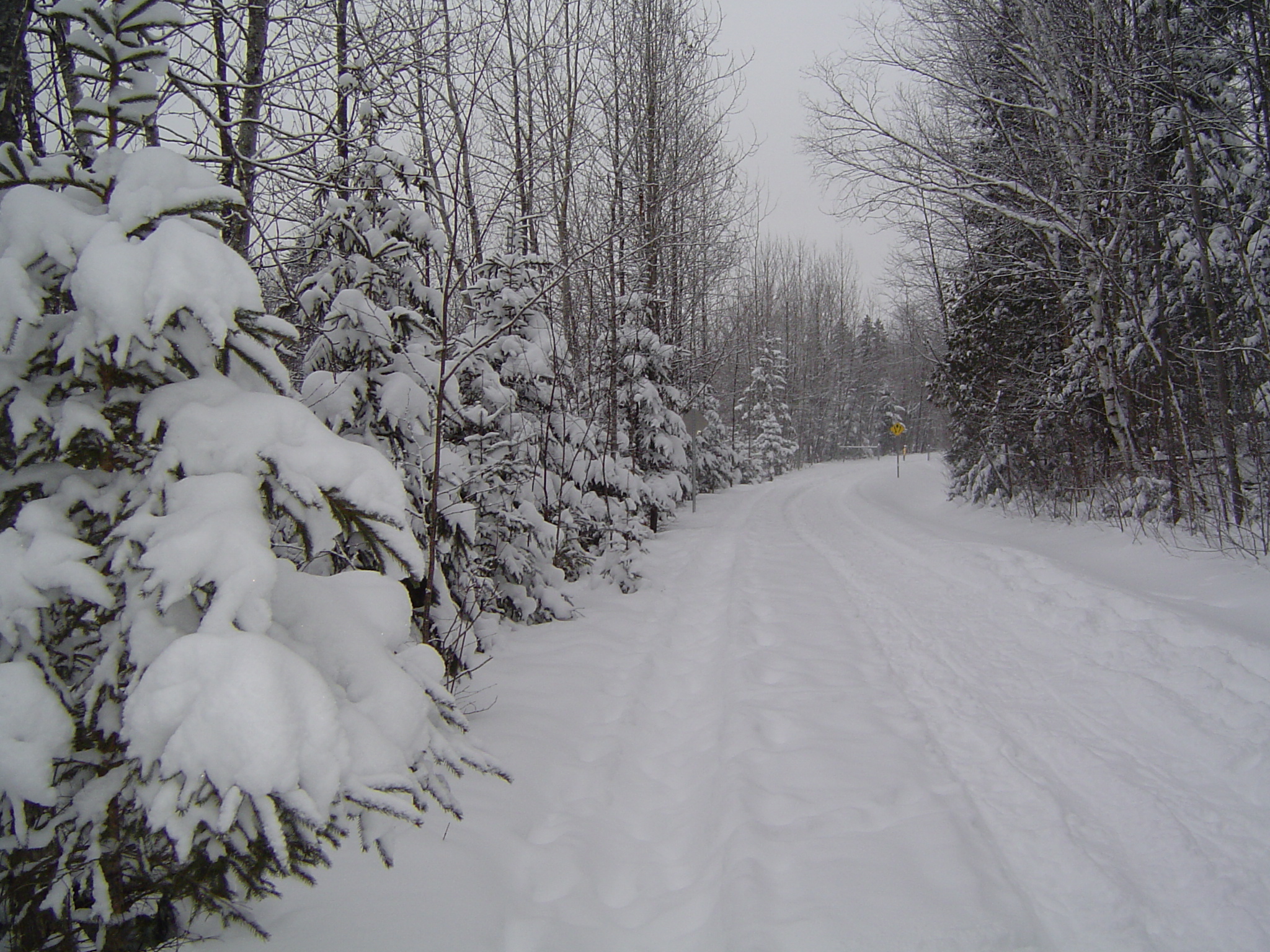 Beauté de l hiver