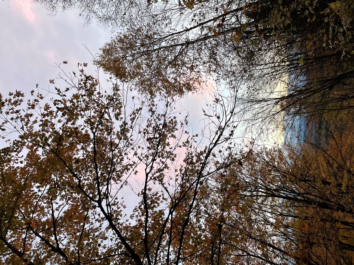 Photo de la région