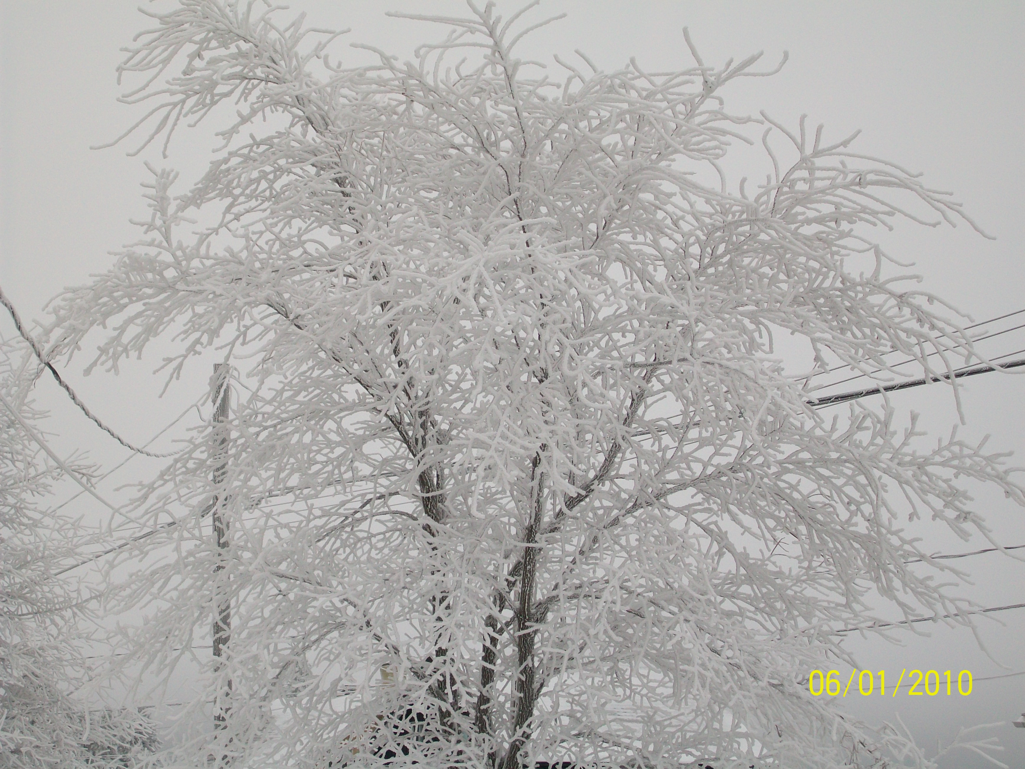 l'hiver 