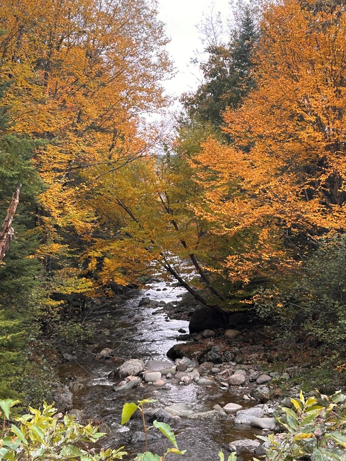 Couleurs d’automne