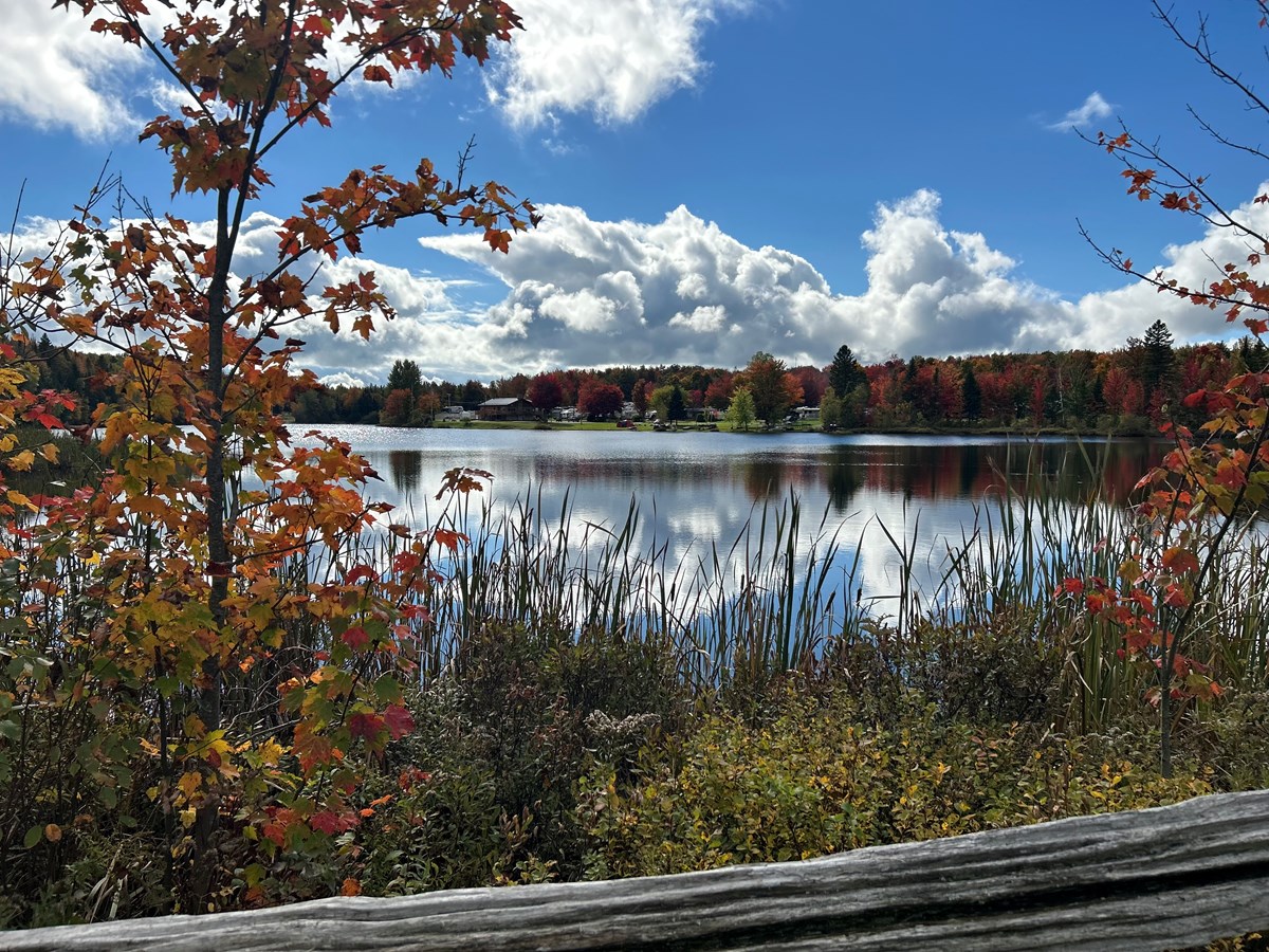 Couleurs d’automne
