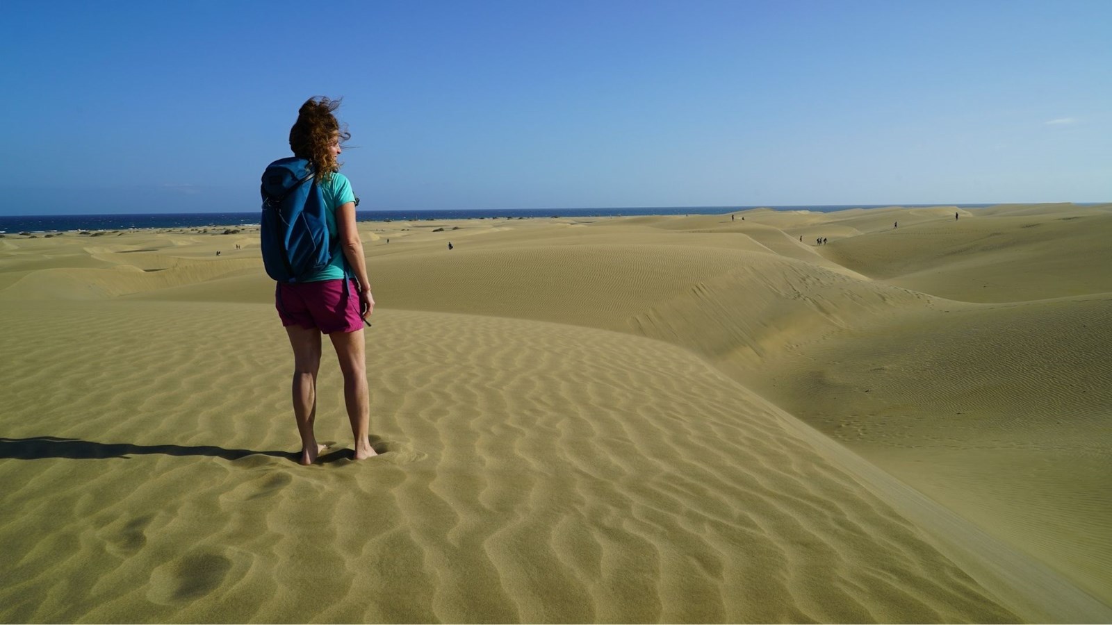 Le film Îles Canaries - Paradis de l'Atlantique sera en projection au Cinéma RGFM de Joliette