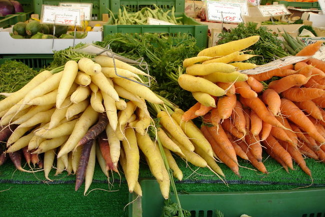 Projet de marché public à Trois-Rivières