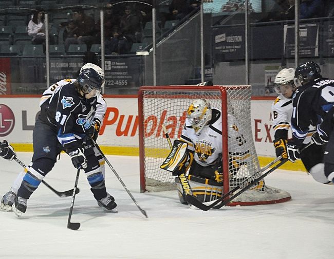 Trois Mauriciens au sein d’Équipe Québec U17