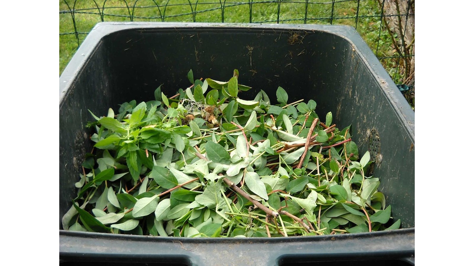 Le compost toujours aussi populaire à Rimouski